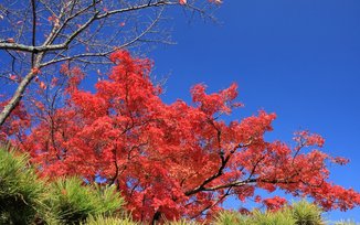 經(jīng)典語錄，句句都是智慧的精華和靈感