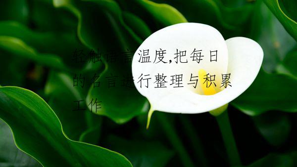 輕觸語(yǔ)言溫度,把每日的名言進(jìn)行整理與積累工作