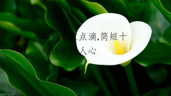 串聯(lián)美文點(diǎn)滴,簡(jiǎn)短十句話(huà)穿透人心