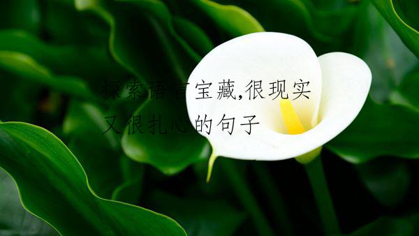 探索語(yǔ)言寶藏,很現(xiàn)實(shí)又很扎心的句子